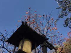 -大雁塔北广场音乐喷泉