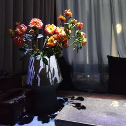 -琦品高端美容SPA私佳美场