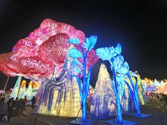 -淄博花灯齐彩城
