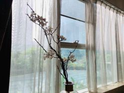 -蜜悦居月子中心(国金中心店)