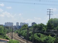 -谢氏老金口(江夏武昌大道店)