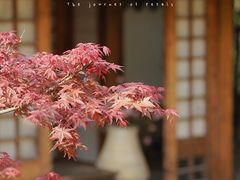 -上房园艺·梦花源
