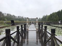 -溱湖国家湿地公园