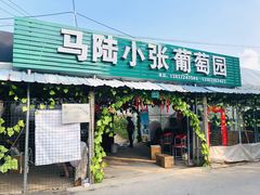 -马陆小张葡萄园农家乐