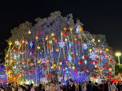 -厦门园林博览苑