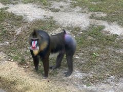 -杭州野生动物世界