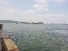 -西湖外事游船(花港观鱼码头)