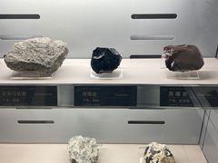 -中国地质博物馆