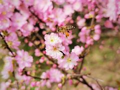 -白塘生态植物园