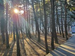 -帽儿山国家森林公园