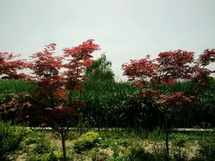 -骏途旅游