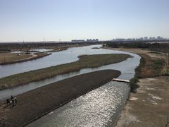 -春花秋色城市公园