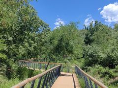 -白水寺森林公园