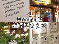 -猫的天空之城概念书店(丽江古城饮玉巷店)