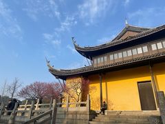 -红梅公园