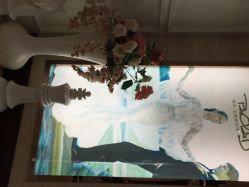 宝娜嫁衣馆-南京宝娜嫁衣婚纱礼服馆(中央路店)