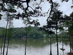 -广州市石门国家森林公园