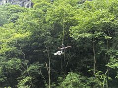 -千岛湖石林