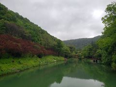 -桃花岭景区