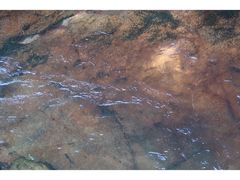 -海南热带雨林国家公园吊罗山景区