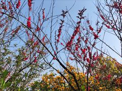 -杭州半山国家森林公园