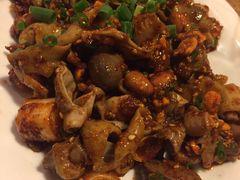 -老号尤兔头(幸福店)