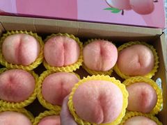 -老袁家蜜桃农场·阳山水蜜桃