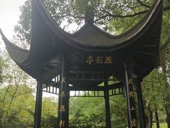 -东湖落雁景区