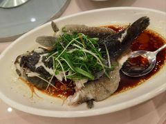 -粤味馆(黄河路店)