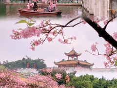 -宝墨园景区