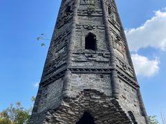 -上海佘山国家森林公园天马山园