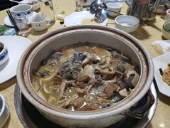 -东巴谷野生菌火锅餐厅