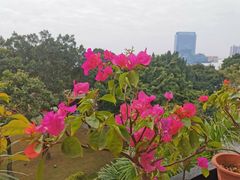 包间阳台-陶然轩(沙面店)