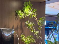 -啫火啫啫煲·顺德干蒸(壹海城店)