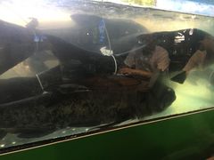 -好灶头妈妈菜·千岛湖柴火鱼餐厅(桐庐店)
