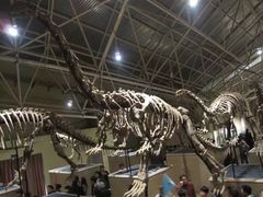 -世界恐龙谷景区