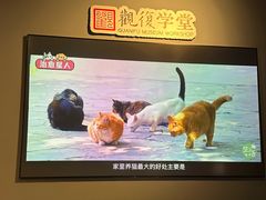 -上海观复博物馆