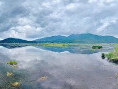 -腾冲北海湿地