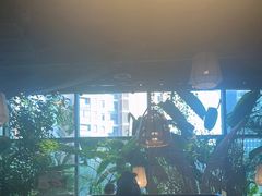 -大头椰·椰子鸡火锅(南宁万象城店)