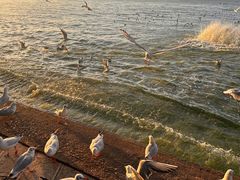 -滇池海埂公园