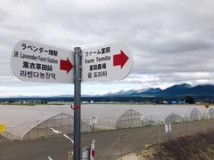 -富田农场