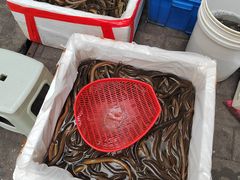 -铜元老码头鳝鱼火锅