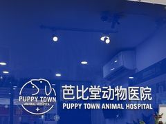 -芭比堂动物医院(广州爱宠下渡路分院)