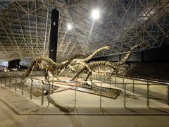 -世界恐龙谷景区