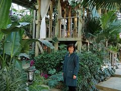 -大塘金香草谷