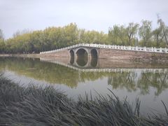 -禹州森林植物园