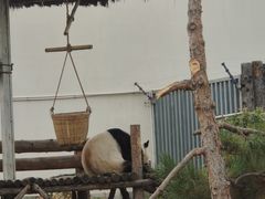 -大青山野生动物园