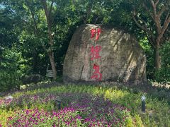 -野狸岛