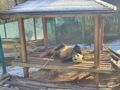 -栾川竹海野生动物园