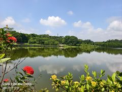 -东莞植物园